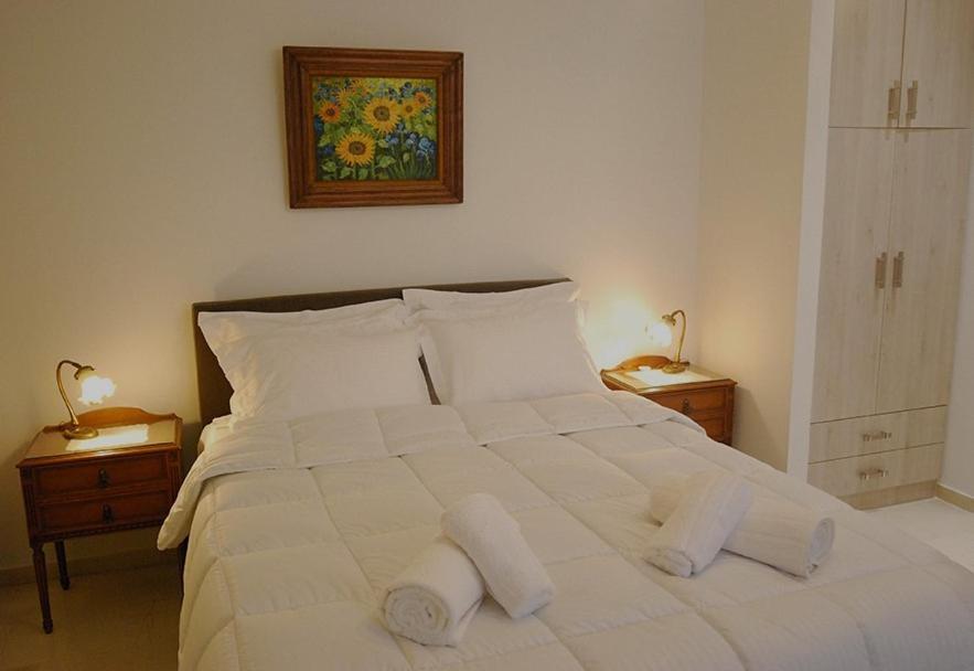 Heraklion Center Boutique 3 Bedroom Apartment Penelope エクステリア 写真